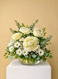 Pure Elegance White