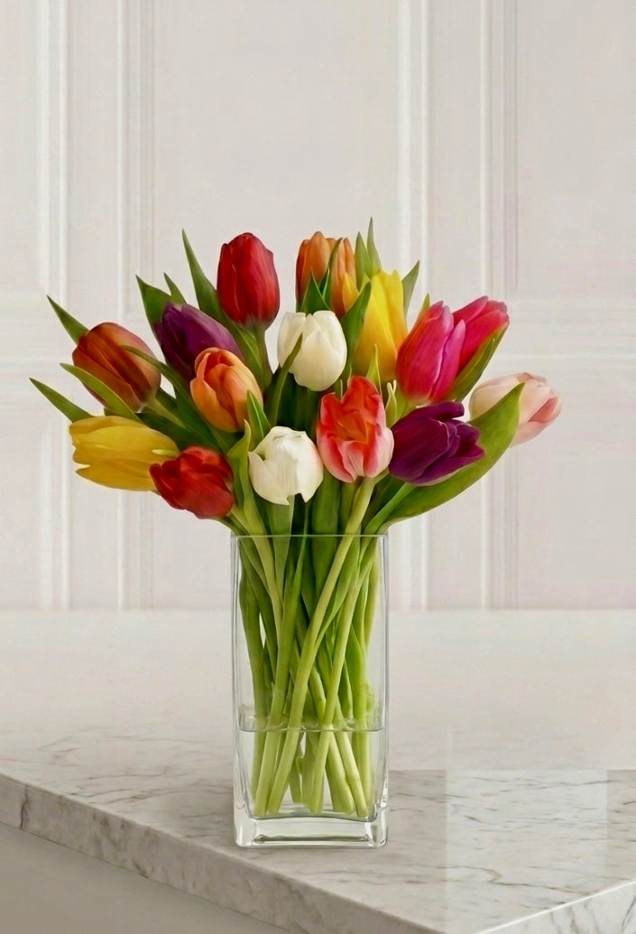 Vibrant Tulip Medley